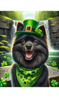 Schipperke - Best of Breed DCR Saint Patricks Day Day Outdoor House and Garden Flag