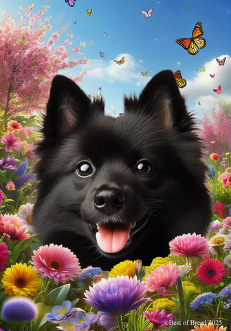 Schipperke - Best of Breed  Spring Butterflies Outdoor House and Garden Flag