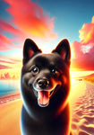 Schipperke - Best of Breed DCR Summer Sunset Outdoor House and Garden Flag