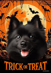 Schipperke - Best of Breed  Halloween Outdoor House and Garden Flag