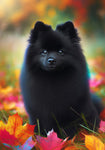 Schipperke - Best of Breed DCR Falling Leaves Outdoor Flag