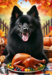 Schipperke - Best of Breed DCR Thanksgiving Outdoor House and Garden Flag