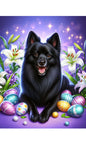 Schipperke - Best of Breed DCR Easter Holiday    Outdoor House and Garden Flag