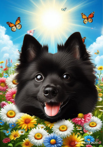 Schipperke - Best of Breed  Summer Butterflies Outdoor House and Garden Flag