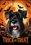 Schnauzer Black Uncropped - Best of Breed  Halloween Outdoor House and Garden Flag