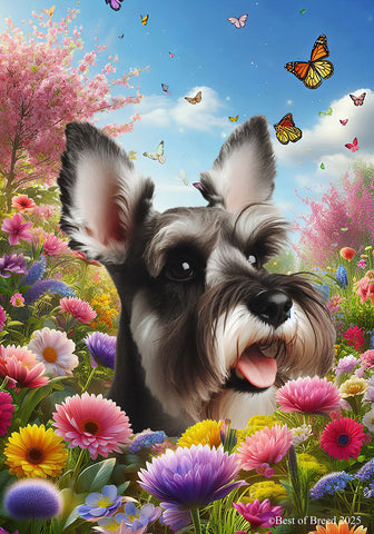 Schnauzer Grey Cropped - Best of Breed  Spring Butterflies Outdoor House and Garden Flag