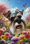 Schnauzer Grey Uncropped - Best of Breed  Spring Butterflies Outdoor House and Garden Flag