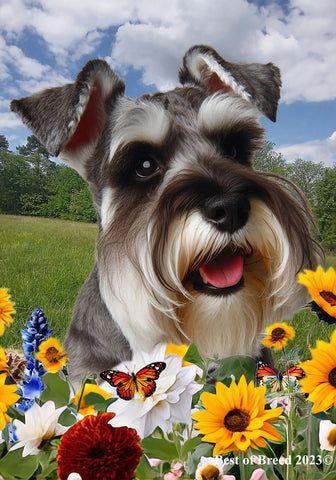 Schnauzer Grey Uncropped - Best of Breed  Summer Fields Outdoor House and Garden Flag