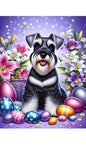 Schnauzer Black Uncropped -  Best of Breed DCR Easter Holiday    Outdoor House and Garden Flag