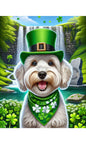 Schnoodle White - Best of Breed DCR Saint Patricks Day Day Outdoor House and Garden Flag