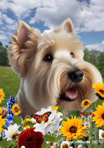 Scottish Terrier Wheaten - Best of Breed  Summer Fields Outdoor House and Garden Flag