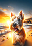 Scotty Wheaten - Best of Breed DCR Summer Sunset Outdoor House and Garden Flag