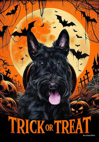 Scottish Terrier - Best of Breed  Halloween Outdoor House and Garden Flag