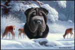 Shar Pei Black -  Best of Breed Winter Wonderland Floor Mat Tufted Loop 18" x 27"