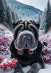 Shar Pei Black - Best of Breed DCR Winter Berries Outdoor House and Garden Flag