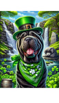 Shar Pei Black - Best of Breed DCR Saint Patricks Day Day Outdoor House and Garden Flag