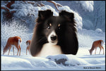 Sheltie Bi Black - Best of Breed Winter Wonderland Floor Mat Tufted Loop 18" x 27"