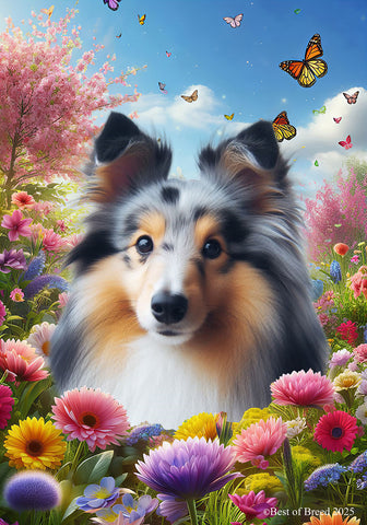 Sheltie Blue Merle - Best of Breed  Spring Butterflies Outdoor House and Garden Flag