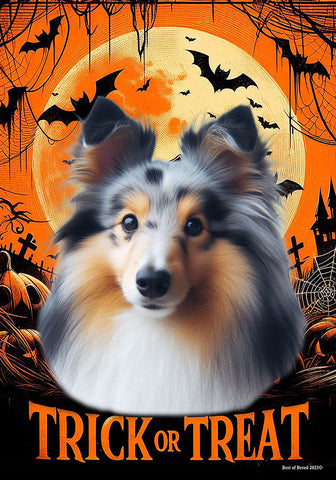 Sheltie Blue Merle - Best of Breed  Halloween Outdoor House and Garden Flag