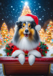 Sheltie Blue Merle - Best of Breed DCR Christmas Outdoor House and Garden Flag