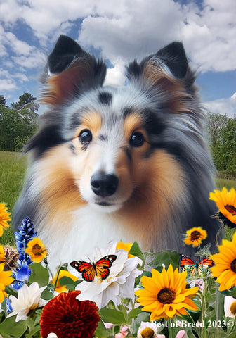 Sheltie Blue Merle - Best of Breed  Summer Fields Outdoor House and Garden Flag