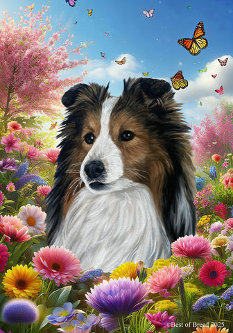 Sheltie Sable - Best of Breed  Spring Butterflies Outdoor House and Garden Flag