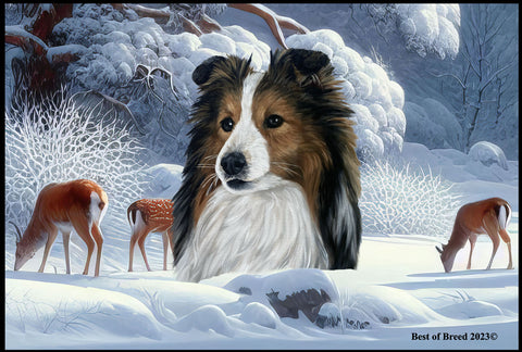 Sheltie Sable - Best of Breed Winter Wonderland Floor Mat Tufted Loop 18" x 27"