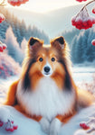 Sheltie Sable - Best of Breed DCR Winter Berries Outdoor House and Garden Flag