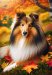 Sheltie Sable - Best of Breed DCR Falling Leaves Outdoor Flag