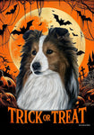 Sheltie Sable - Best of Breed  Halloween Outdoor House and Garden Flag