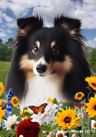 Sheltie Tri - Best of Breed  Summer Fields Outdoor House and Garden Flag