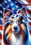Sheltie Blue Merle - Best of Breed DCR Patriotic III   Outdoor House and Garden Flag