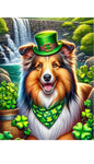 Sheltie Sable - Best of Breed DCR Saint Patricks Day Day Outdoor House and Garden Flag