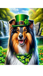 Sheltie Tri - Best of Breed DCR Saint Patricks Day Day Outdoor House and Garden Flag