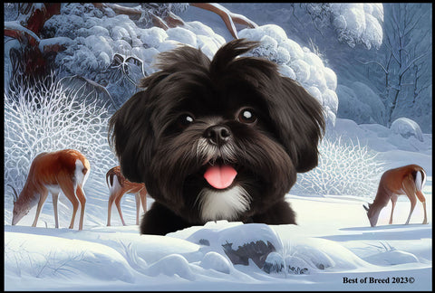 Shih Tzu Black/White - Best of Breed Winter Wonderland Floor Mat Tufted Loop 18" x 27"