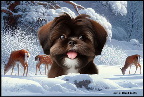 Shih Tzu Chocolate - Best of Breed Winter Wonderland Floor Mat Tufted Loop 18" x 27"