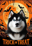 Siberian Husky Black/White Blue Eyes -  Best of Breed  Halloween Outdoor House and Garden Flag