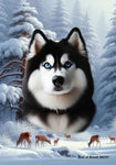 Siberian Husky Black/White Blue Eyes -  Best of Breed  Winter Wonderland Outdoor House and Garden Flag