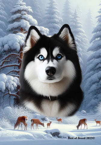 Siberian Husky Black/White Blue Eyes -  Best of Breed  Winter Wonderland Outdoor House and Garden Flag