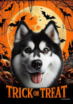 Siberian Husky Black/White - Best of Breed  Halloween Outdoor House and Garden Flag