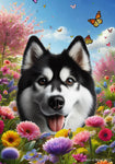 Siberian Husky Black/White - Best of Breed  Spring Butterflies Outdoor House and Garden Flag