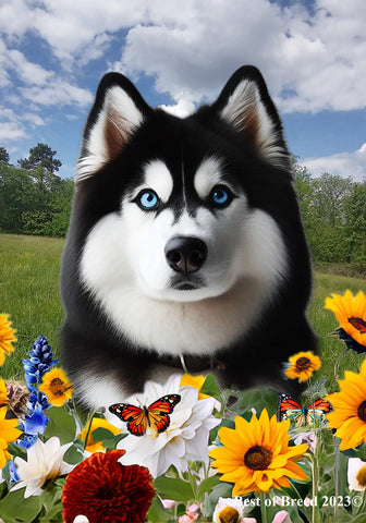 Siberian Husky Black/White Blue Eyes -  Best of Breed  Summer Fields Outdoor House and Garden Flag