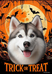 Siberian Husky Grey Blue Eyes - Best of Breed  Halloween Outdoor House and Garden Flag