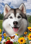 Siberian Husky Grey Blue Eyes - Best of Breed  Summer Fields Outdoor House and Garden Flag