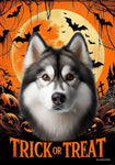 Siberian Husky Grey - Best of Breed  Halloween Outdoor House and Garden Flag