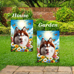 Siberian Husky Red Blue Eyes -  Best of Breed  Summer Butterflies Outdoor House and Garden Flag