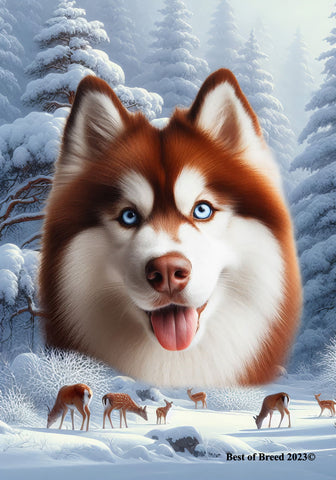 Siberian Husky Red Blue Eyes -  Best of Breed  Winter Wonderland Outdoor House and Garden Flag