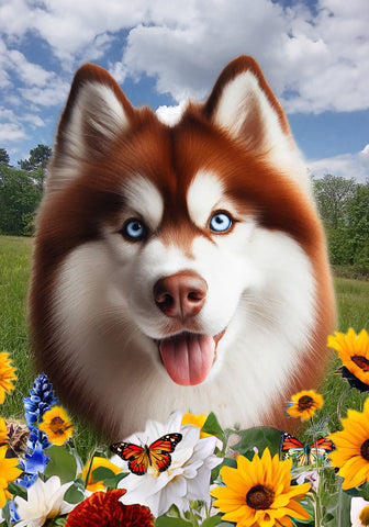 Siberian Husky Red Blue Eyes -  Best of Breed  Summer Fields Outdoor House and Garden Flag