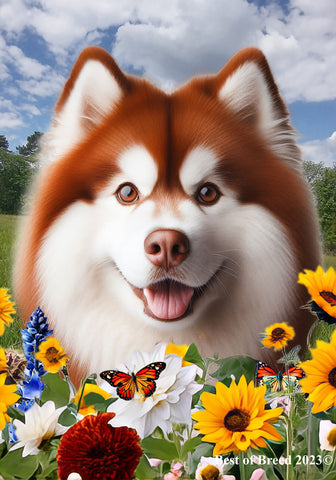 Siberian Husky Red - Best of Breed  Summer Fields Outdoor House and Garden Flag