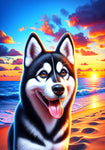 Siberian Husky Black/White - Best of Breed DCR Summer Sunset Outdoor House and Garden Flag